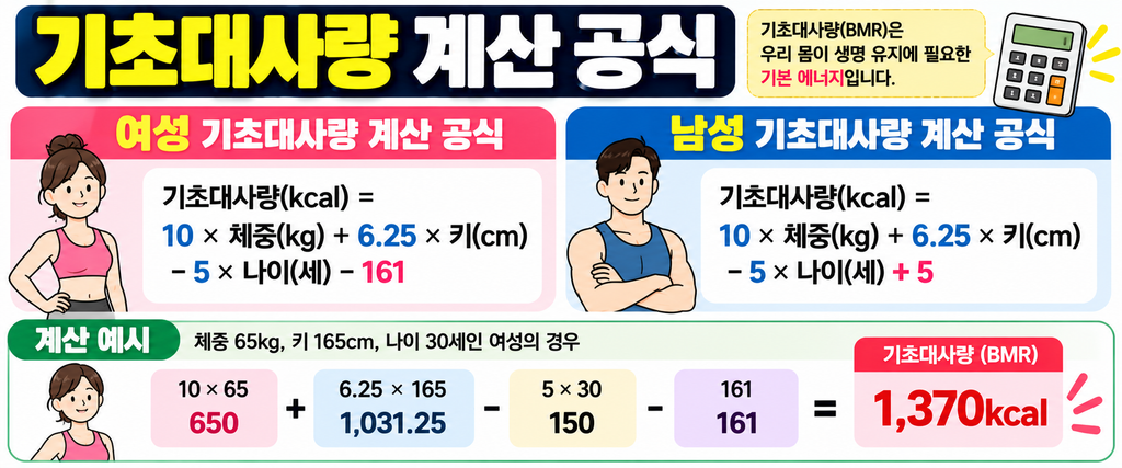 기초대사량 계산 공식